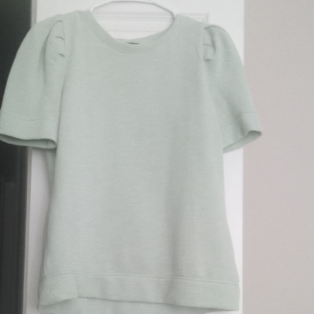 Talbots Petite Mint and Cream Knit Top
